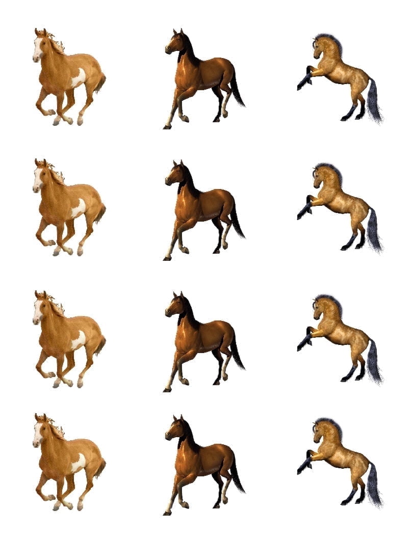 12 Count Assorted Horses Cupcake Toppers Edible Cupcake Topper Images ABPID53615
