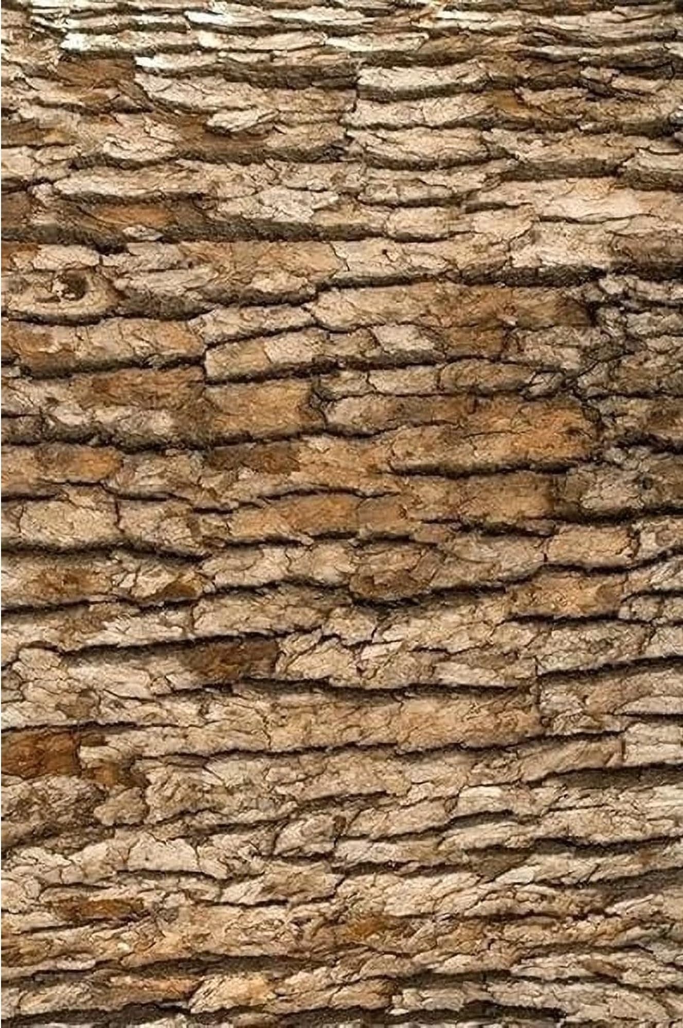 Wood Tree Bark Pattern On Edible Image Chocolate Transfer Sheet. Apply To Your Custom Chocolate Treats