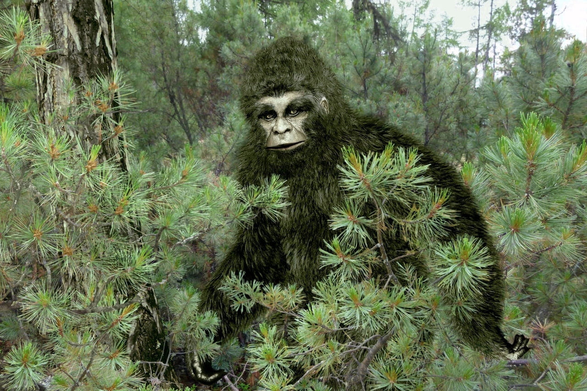 Bigfoot Edible Icing Image Cake Topper, by Tnct.