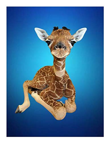 Baby Giraffe Edible Image For Quarter Sheet Cake!