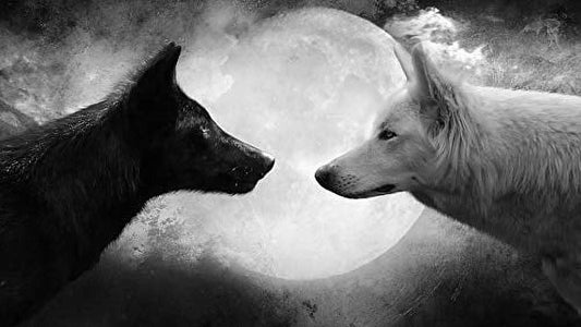 2 Wolves Edible Image Icing Cake Topper for Quarter Sheet Cake, by TNCT