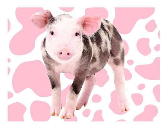 Spotted Pig With Pink Edible Image For Quarter Sheet Cake