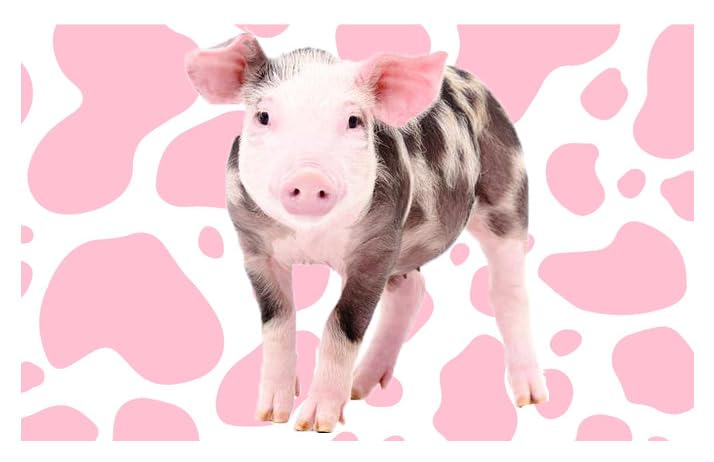 Spotted Pig With Pink Edible Image Cake Topper For Half Sheet Cake