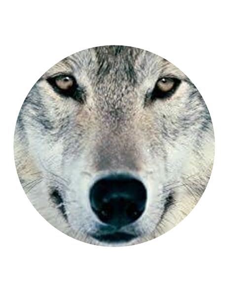 7.5" Pre-Cut Round Grey Wolf Edible Image Cake Topper