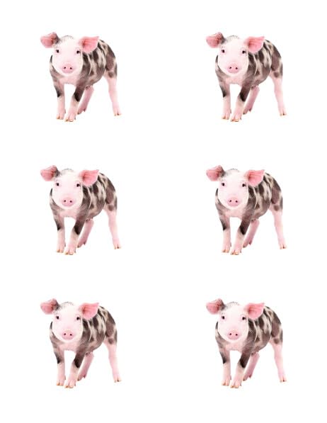 3" Round Pre-Cut Spotted Pig Edible Image Cupcake Toppers