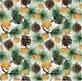 Pine Branches Pinecones and Gold Stars Edible Chocolate Transfer Sheet for Chocolate Covered Strawberries and Bark, 1 Count