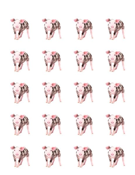 1.875" Pre-Cut Round Spotted Pig Edible Image Cupcake Toppers