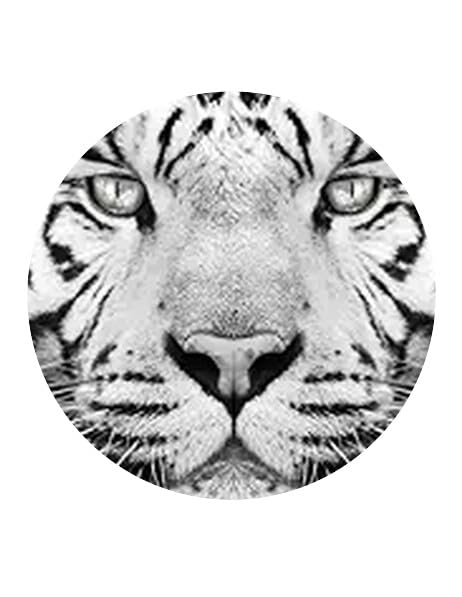 7.5" Pre-Cut Round White Tiger Edible Image Cake Topper