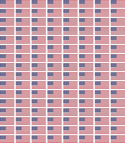 United States Flag Pattern Edible Image Photo Cake Topper For Quarter Sheet Cake