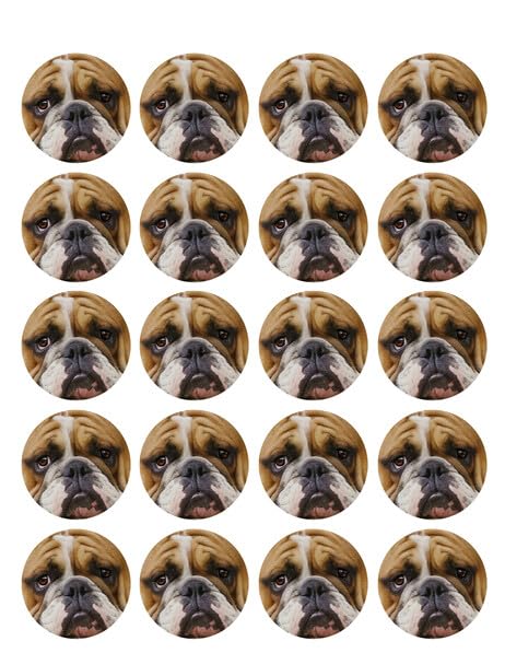 1.875" Pre-Cut Round English Bulldog Edible Image Cupcake Toppers