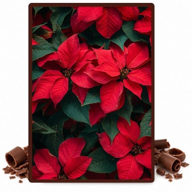 Red Poinsettias and Green Leaves Edible Chocolate Transfer Sheet for Chocolate Covered Strawberries and Bark, 1 Count
