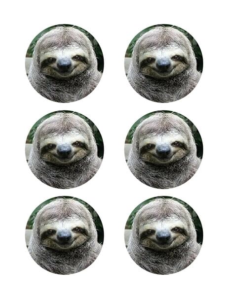 3" Round Pre-Cut Cute Smiling Sloth Edible Images For Your Cupcakes!