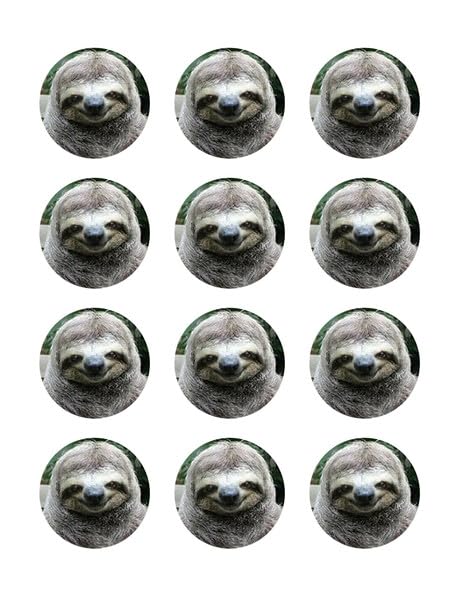 2" Round Pre-Cut Cute Smiling Sloth Edible Images!