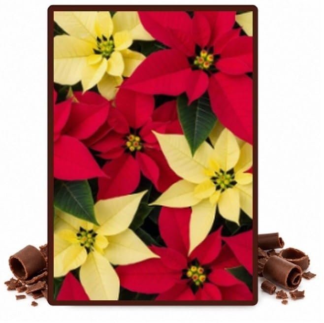Red and Yellow Poinsettias Edible Chocolate Transfer Sheet for Chocolate Covered Strawberries and Bark, 1 Count