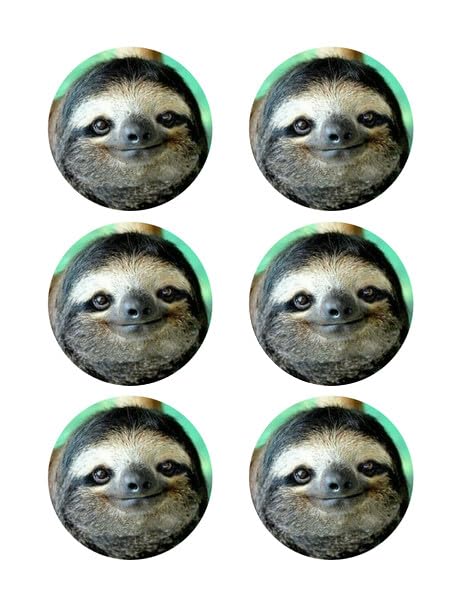 3" Round Pre-Cut Smiling Sloth Edible Images For Your Cupcakes!