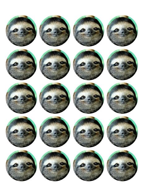 1.875" Pre-Cut Round Smiling Sloth Edible Images!