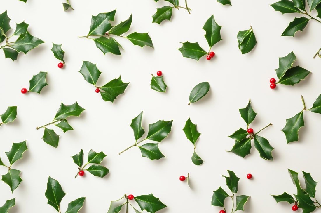 Scattered Holly and Mistletoe on White Edible Chocolate Transfer Sheet for Chocolate Covered Strawberries and Bark, 1 Count