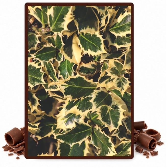 Gold-Edged Holly Leaves Edible Chocolate Transfer Sheet for Chocolate Covered Strawberries and Bark, 1 Count