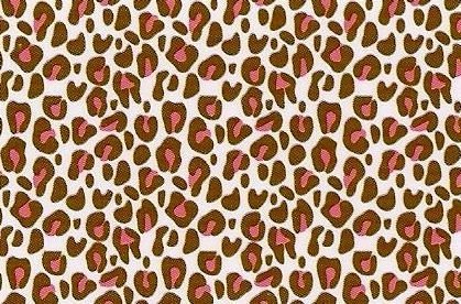 Whimsical Practicality Pink Cheetah Background Edible Image Cake/Cupcake Topper, 1/4 Sheet