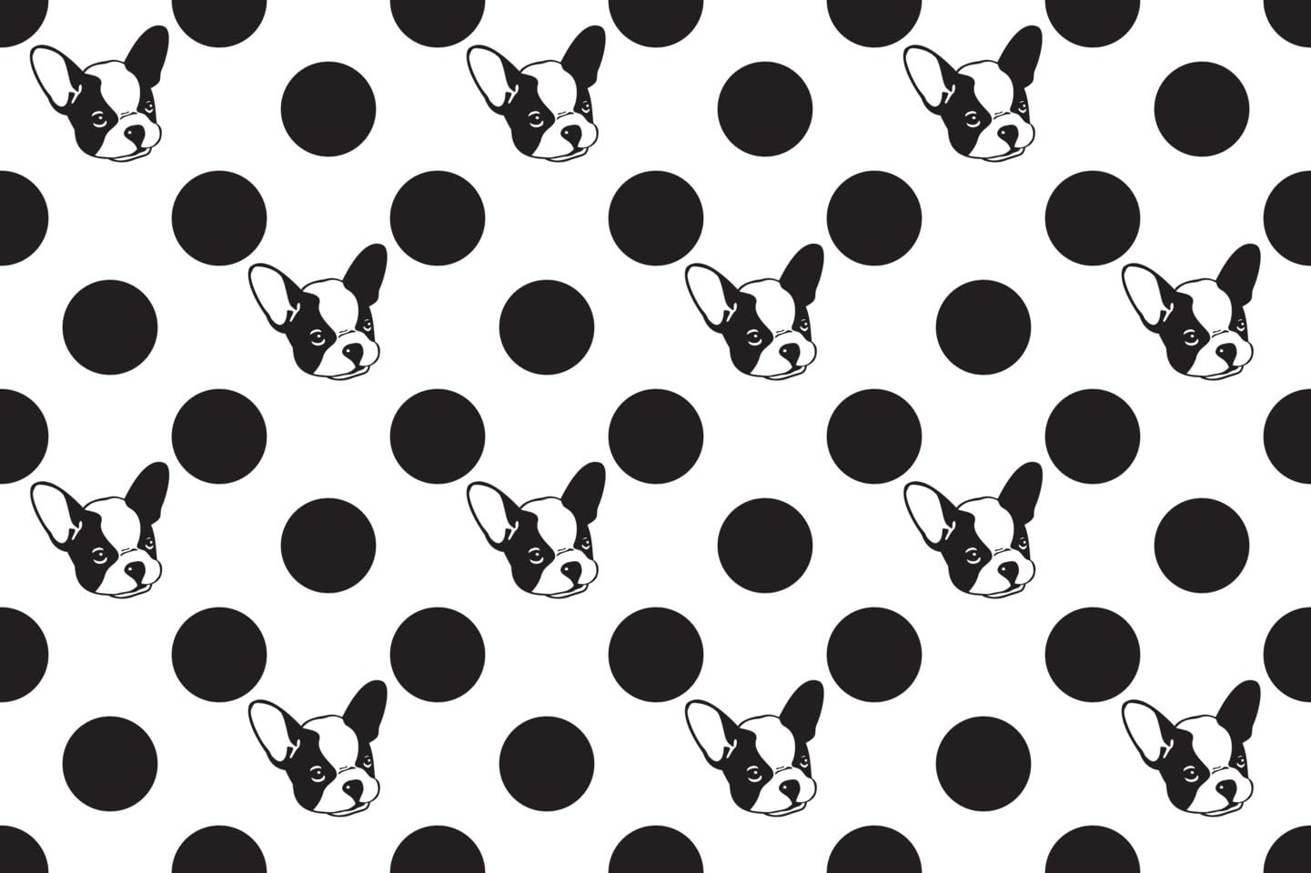 Black & White French Bulldog Or Boston Terrier With Polka Dot Pattern On Edible Image Chocolate Transfer Sheet. Apply To Your Custom Chocolate Treats