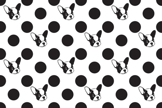 Black & White French Bulldog Or Boston Terrier With Polka Dot Pattern On Edible Image Chocolate Transfer Sheet. Apply To Your Custom Chocolate Treats