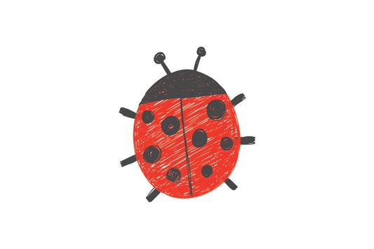 Crayon Drawn Red & Black Ladybug themed Edible Icing Image Cake Topper, by Tnct.
