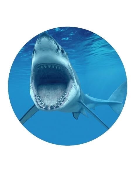 Shark Attack Birthday Edible Icing Image Cake Topper, by Tnct.