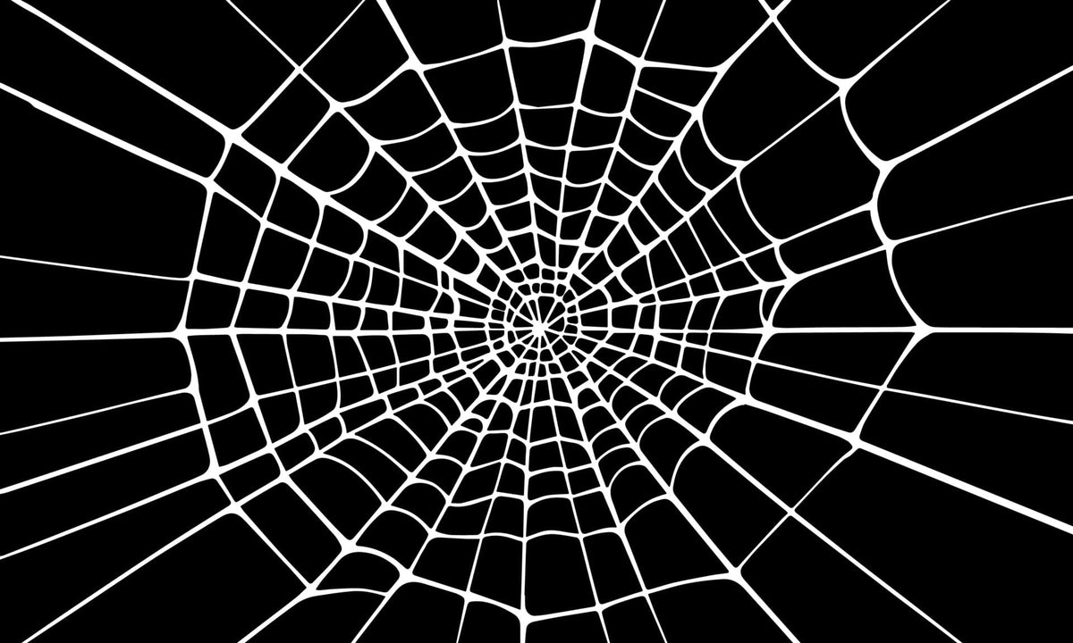 White Spiderweb on Black Edible Image Chocolate Transfer Sheet