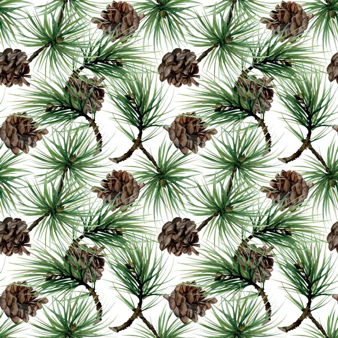 Watercolor Pine Branches and Pinecones Edible Chocolate Transfer Sheet for Chocolate Covered Strawberries and Bark, 1 Count