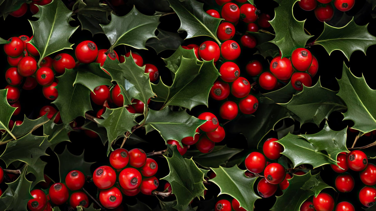 Holly & Berries Christmas Pattern On Edible Image Chocolate Transfer Sheet. Apply To Your Custom Chocolate Treats