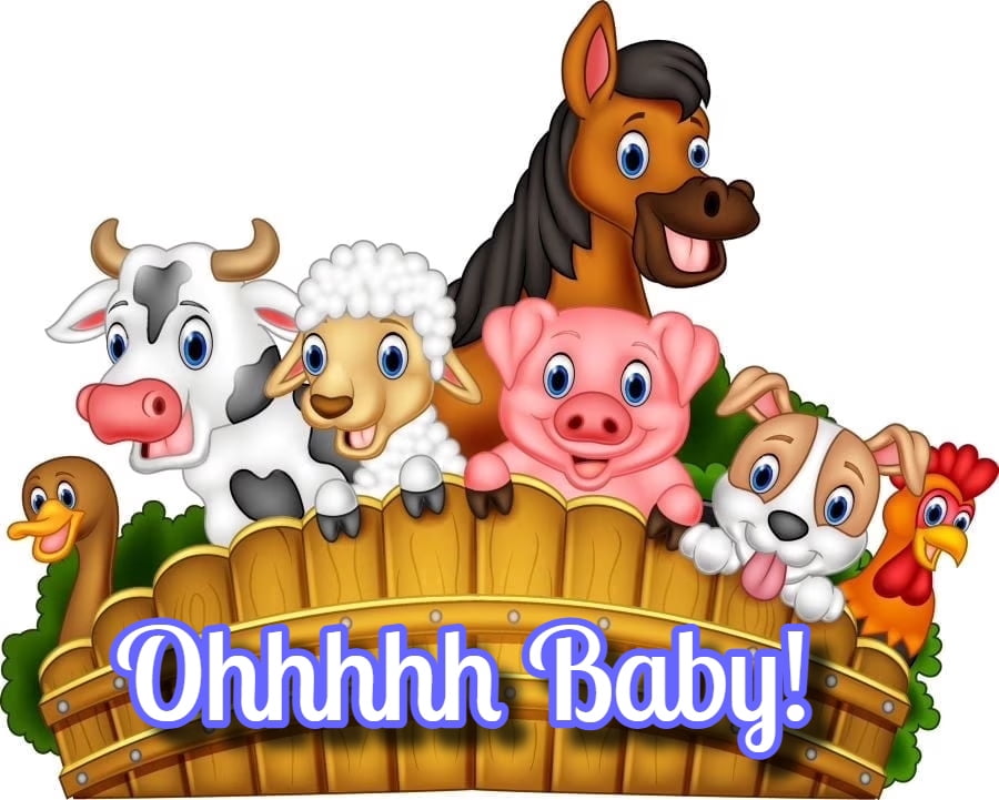 Cartoon Farm Animal Themed Birthday Party Edible Icing Image Cake Topper, by Tnct.