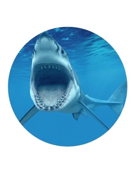Shark Attack Birthday Edible Icing Image Cake Topper, by Tnct.