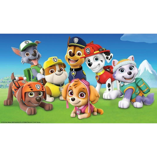 Paw Patrol Cast of Characters Birthday Edible Image For Half Sheet Cake By TNCT