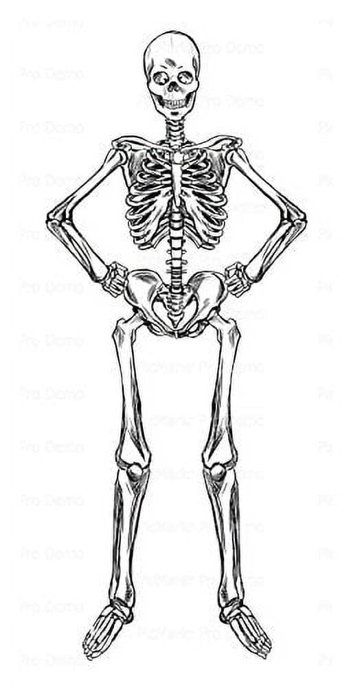 TNCT Skeleton Halloween Edible Image Cake Topper for Quarter Sheet Cake