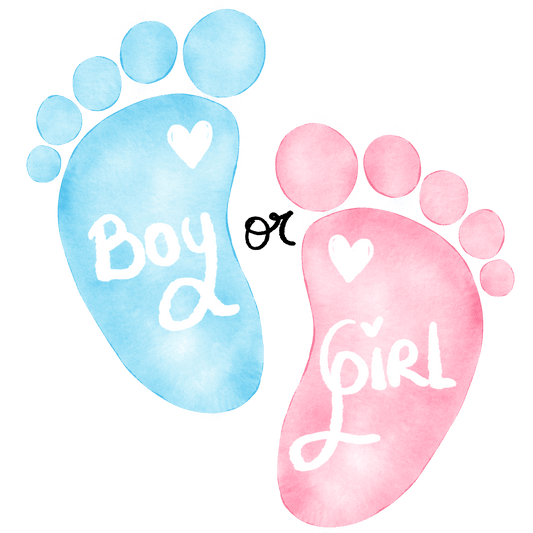 Baby Feet Gender Reveal Edible Image Cake, Cupcake & Cookie Topper, by Tnct.