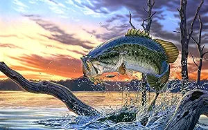 Bass Fish Birthday Edible Icing Image Cake Topper, by Tnct.