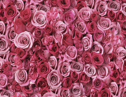 Bed of Red And Pink Roses Edible Cake Topper Image ABPID00162V1