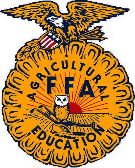 FFA Edible Icing Image Birthday Cake Topper for Quarter Sheet Cake