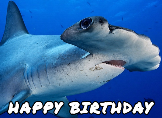 Real Hammerhead Shark Happy Birthday Underwater Theme Edible Image Cake Topper for Half Sheet Cake, by Tnct. (1 Count)