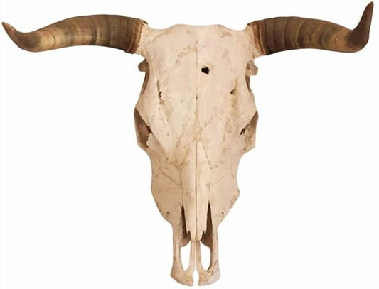 Longhorn Skull Edible Image Icing Cake Topper for Quarter Sheet Cake, by TNCT