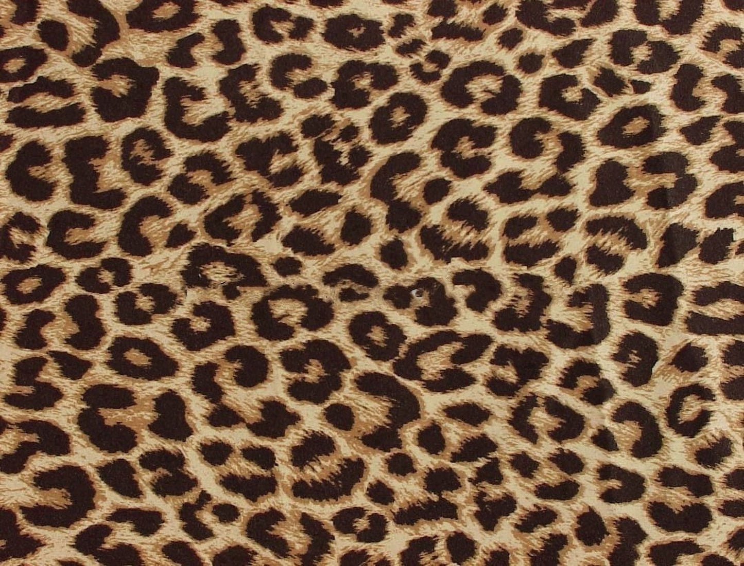 Natural Leopard Print Edible Icing Image Cake Topper for Quarter Sheet Cake, by Tnct.