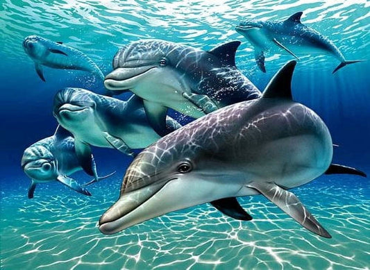 Pod of Dolphins Painting Edible Image Icing Cake Topper for Quarter Sheet Cake, by TNCT