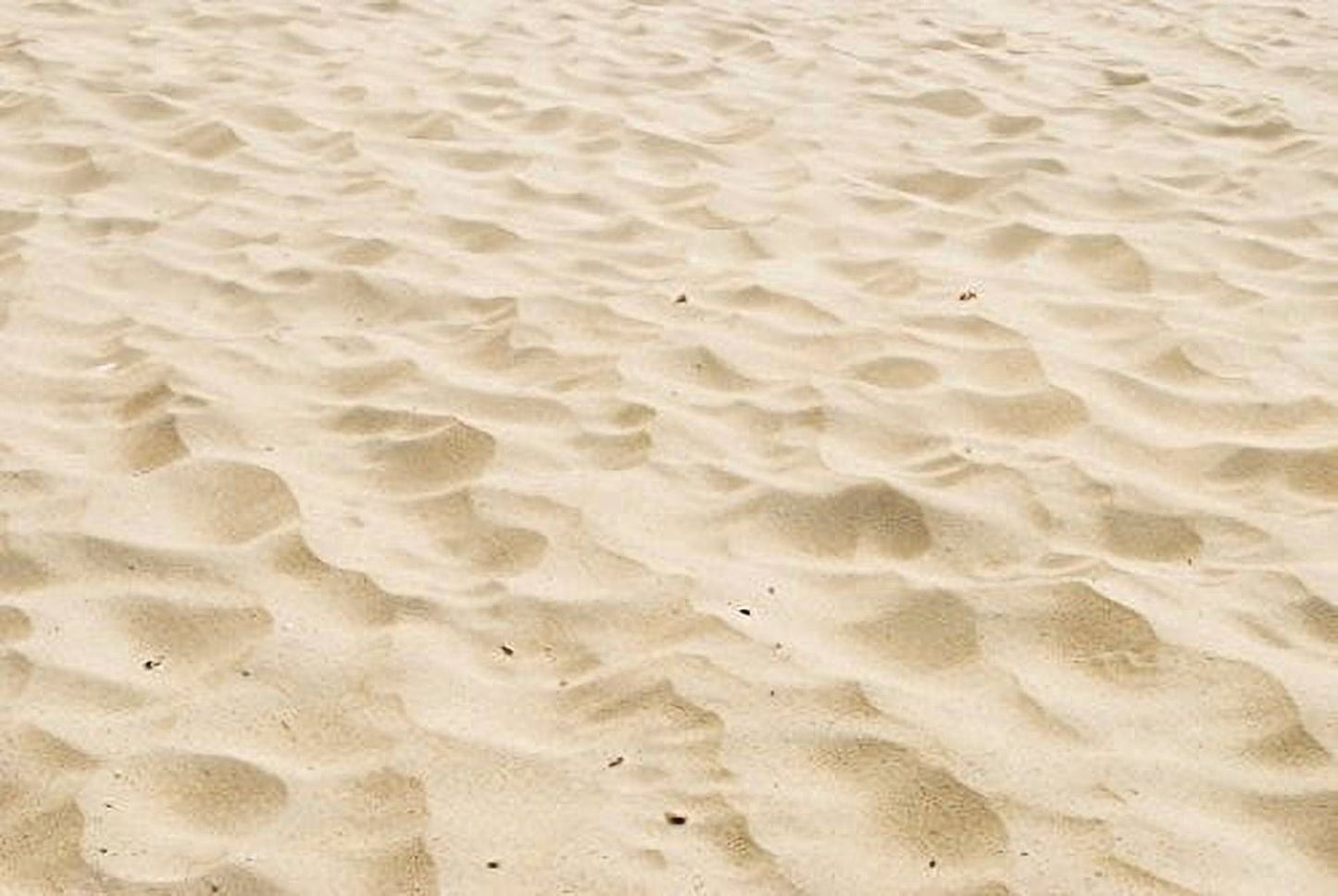 Real Beach Sand Edible Icing Image for Cake or Cupcake Cookie Topper