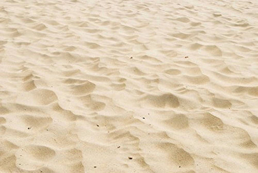 Real Beach Sand Edible Icing Image for Cake or Cupcake Cookie Topper