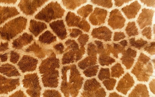 Real Giraffe Print Birthday Edible Icing Image Cake Topper, by Tnct.