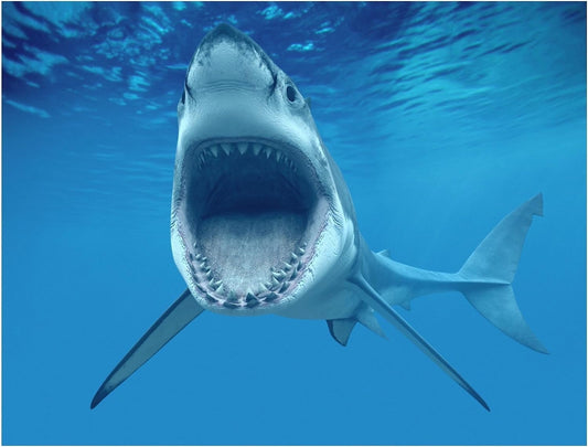 TNCT Shark Attacking Edible Image Cake Topper for Quarter Sheet Cake