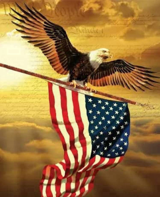 Soaring Eagle with United States Flag Edible Image Icing Cake Topper for Quarter Sheet Cake, by TNCT