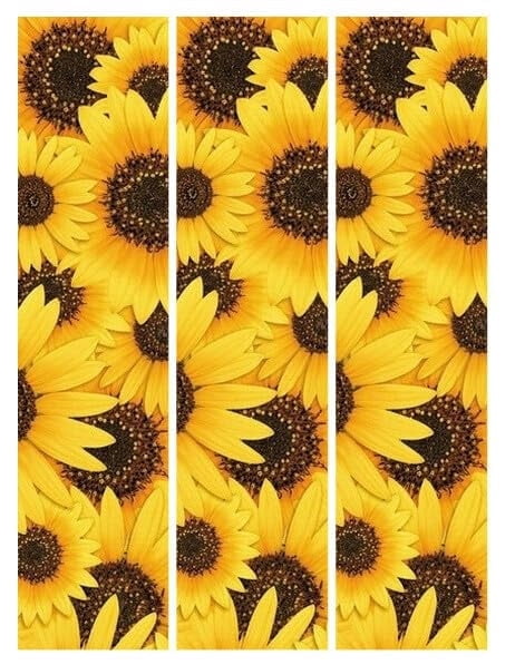 Edible Icing Image Cake Border Strips & Cake Toppers, by TNCT (3 Count)