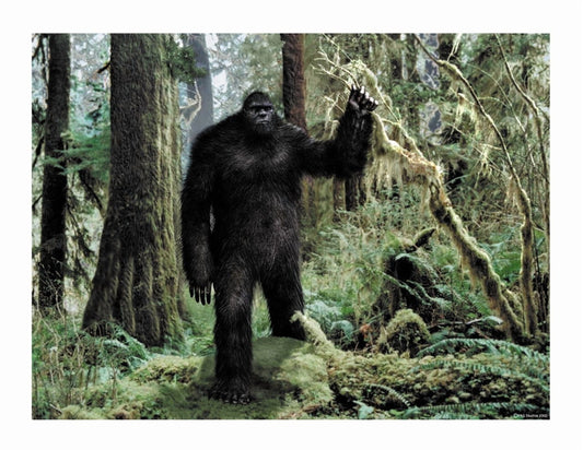Bigfoot Edible Image Icing Cake Topper for Quarter Sheet Cake, by TNCT