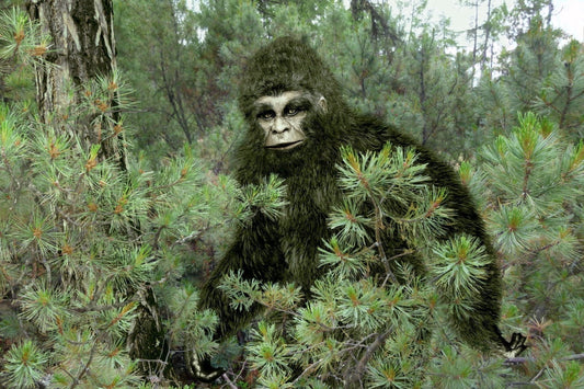 Bigfoot Edible Icing Image Cake Topper, by Tnct.